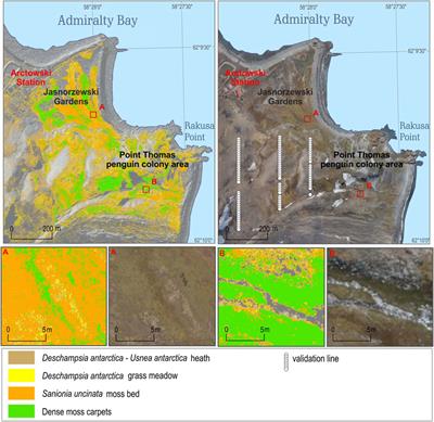 BVLOS UAV missions for vegetation mapping in maritime Antarctic
